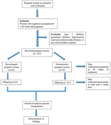 Assessment of the Cardiovascular Risk Profile of Infants Exposed to Pre-eclampsia in-utero: A Prospective Case-Control Study in South African Children of African Ancestry